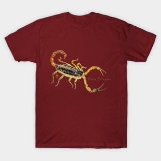 Scorpion Encounter! Bigger Than Large! T-Shirt